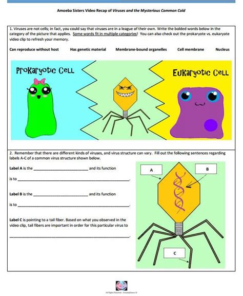 amoeba sisters video recap introduction to cells answer key|amoeba sisters biology videos.